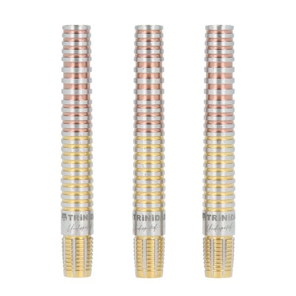 ダーツ用品なら何でも揃う日本最大規模のダーツ通販ショップ【DARTS HiVe】