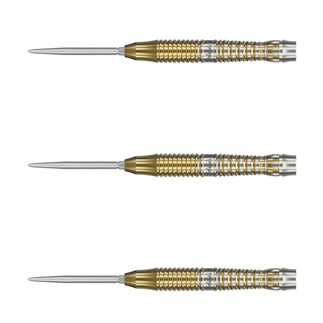 ダーツ用品なら何でも揃う日本最大規模のダーツ通販ショップ【DARTS HiVe】