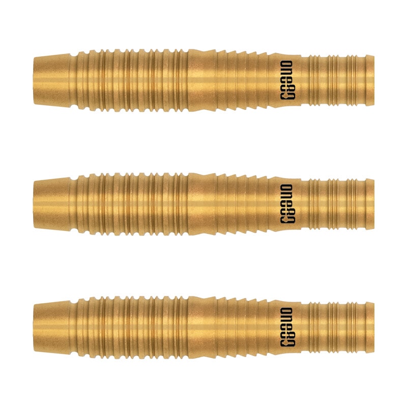 ダーツ用品なら何でも揃う日本最大規模のダーツ通販ショップ【DARTS HiVe】