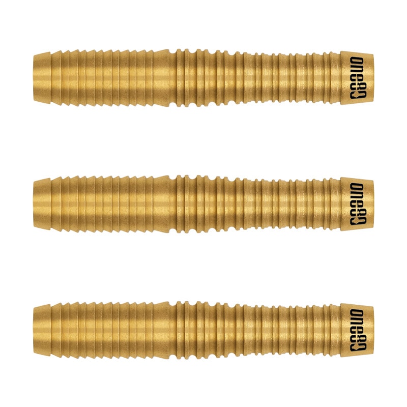 ダーツ用品なら何でも揃う日本最大規模のダーツ通販ショップ【DARTS HiVe】