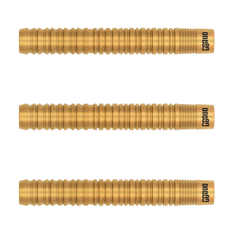 ダーツ用品なら何でも揃う日本最大規模のダーツ通販ショップ【DARTS HiVe】