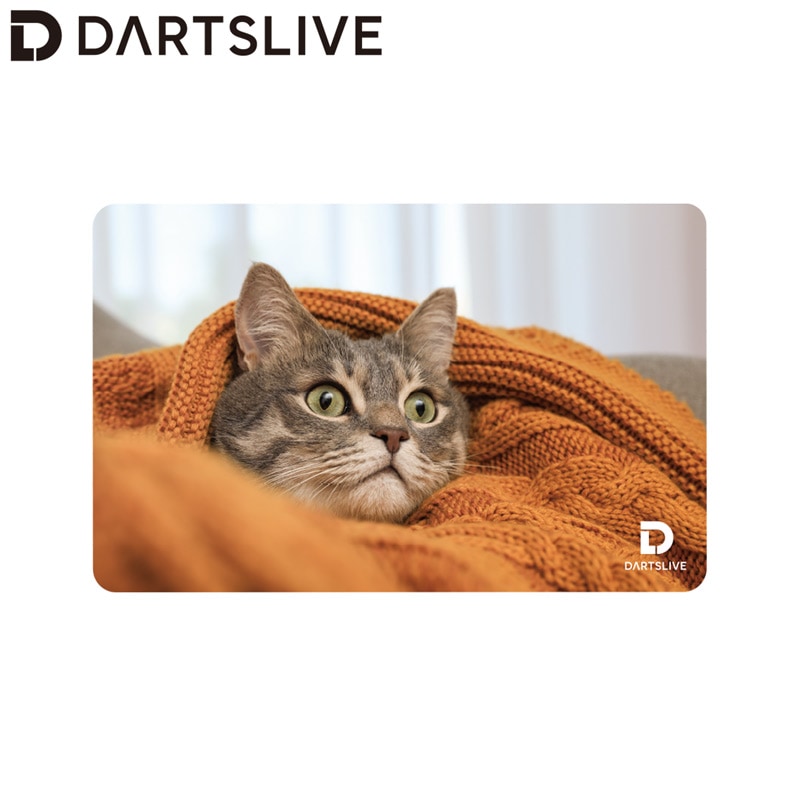 アクセサリ > ダーツライブカード > DARTSLIVE CARD #061 ＜06