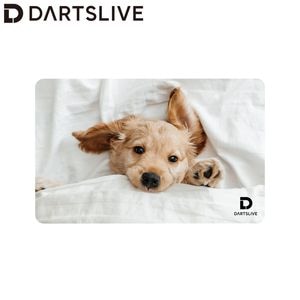 【最安値】DARTSLIVE CARD 2025 夏のカラフルデザイン 最安値】DARTSLIVE CARD 2025 夏のカラフルデザイン 最安値】DARTSLIVE
