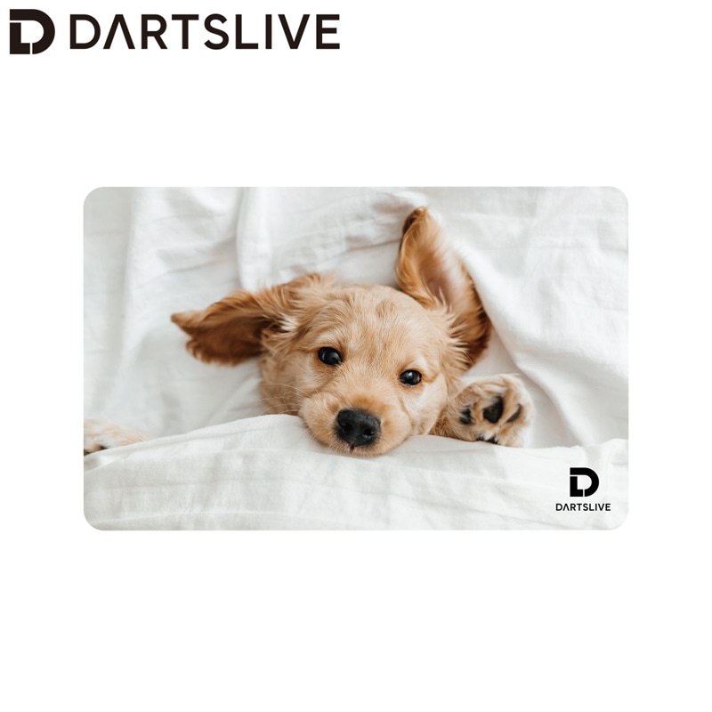 「外箱なし」DARTSLIVE  Takuさま専用 アクセサリ > 雑貨 > 【業販割引対象外】SUPER DARTS 2025×BLACK HOLE