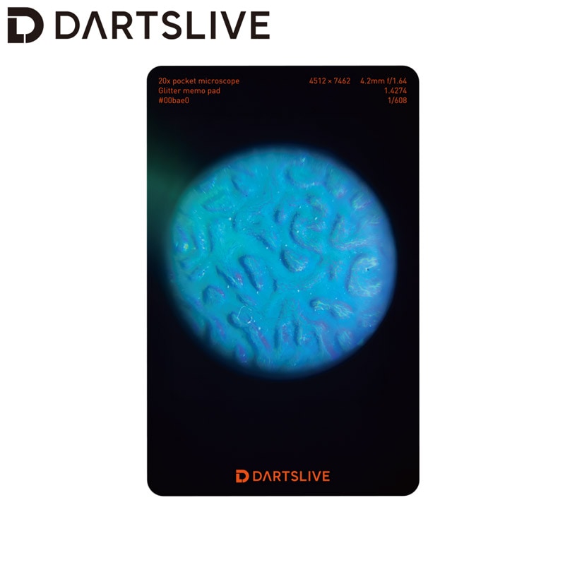 アクセサリ > ダーツライブカード > DARTSLIVE CARD #061 ＜09