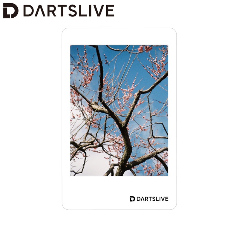 DARTSLIVE カード 非売品 限定デザイン アクセサリ > ダーツライブカード > DARTSLIVE CARD #061 ＜20
