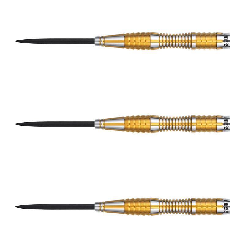 ダーツ用品なら何でも揃う日本最大規模のダーツ通販ショップ【DARTS HiVe】
