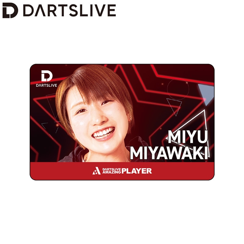 アクセサリ,ダーツライブカード一覧 | ダーツ用品なら何でも揃う日本