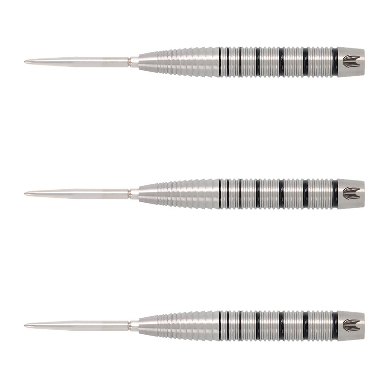 TARGET(�������å�) EXO 02(������02) SWISS POINT STEEL 24g ��190310�䡡(������ �Х��)