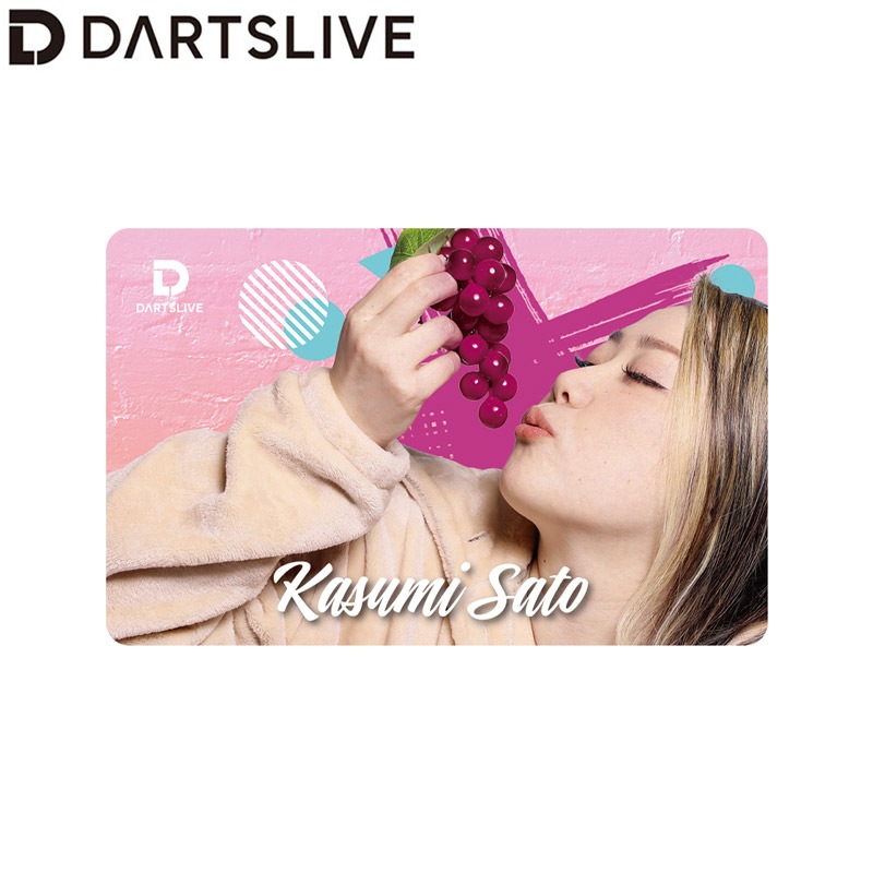 DARTSLIVE PLAYER GOODS����� ��ƣ���������ꡡ(������ ������)