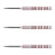 COSMO DARTS(�����������) DISCOVERY LABEL(�ǥ������Х꡼�졼�٥�) David Cameron v2 STEEL �ǥ��ӥåɡ��������������ǥ롡(������ �Х��)