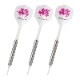 S4-DARTS(ե) · 2BA( Х)