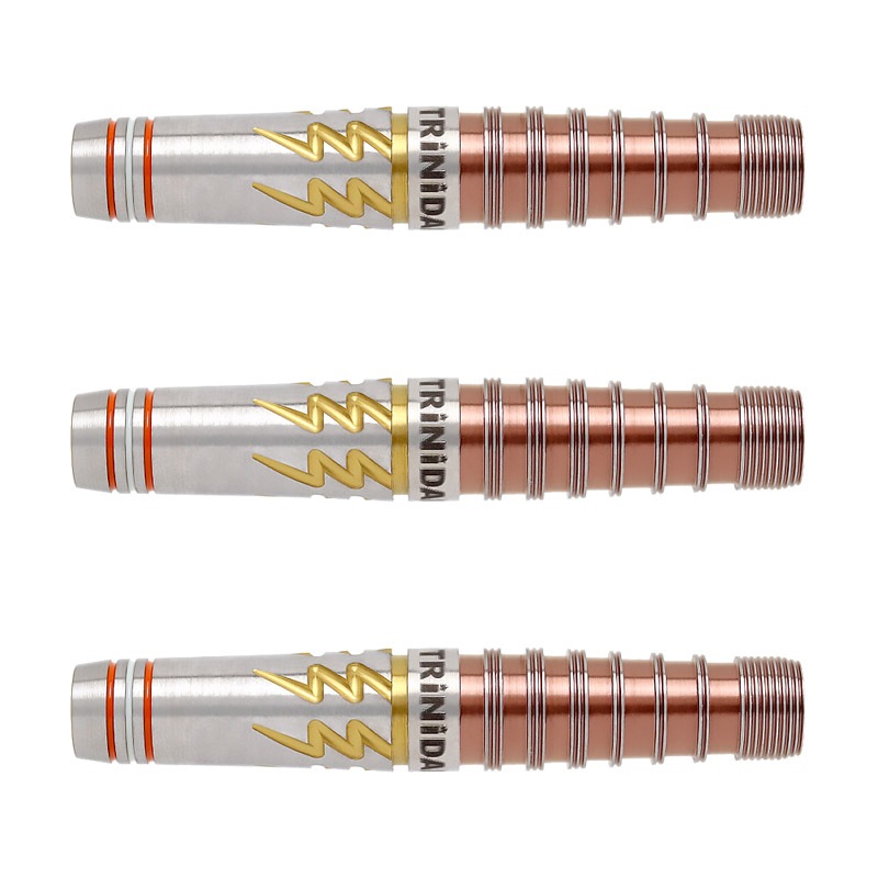 TRiNiDARD ROMAN ローマンタイプ5 ダーツ > ハードダーツ > ブランド【タ行】 > トリニダード