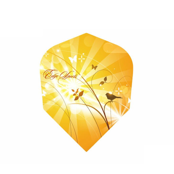 EDGE SPORTS/AIR FLIGHT(���å����ݡ���/�������ե饤��) 103 �֥�ꥢ��ȥ����ǥ� �������ס�(������ �ե饤��)