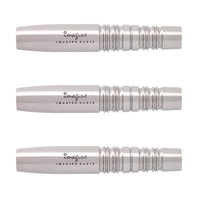 Imagine Darts(���ޥ��������) PROTECTOR���꡼�� Tiger(��������) 2BA��(������ �Х��)