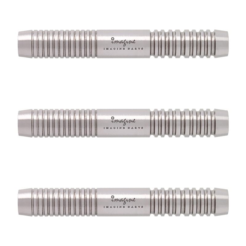 Imagine Darts(���ޥ��������) PROTECTOR���꡼�� Dragon(�ɥ饴��) 2BA��(������ �Х��)