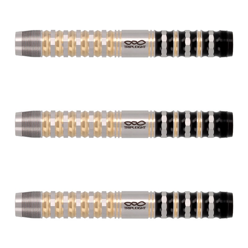 DYNASTY(�����ʥ��ƥ���) TRIPLEIGHT XEBEC2(�����٥å�) type-B 2BA DARTS HIVE Limited ���µ���ɧ�����ǥ롡(������ �Х��)