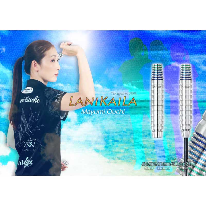 DYNASTY(�����ʥ��ƥ���) A-FLOW BLACK LINE �����ƥ��󥰥����� LaniKaila(��˥�����) STEEL ������ͳ�������ǥ롡(������ �Х��)