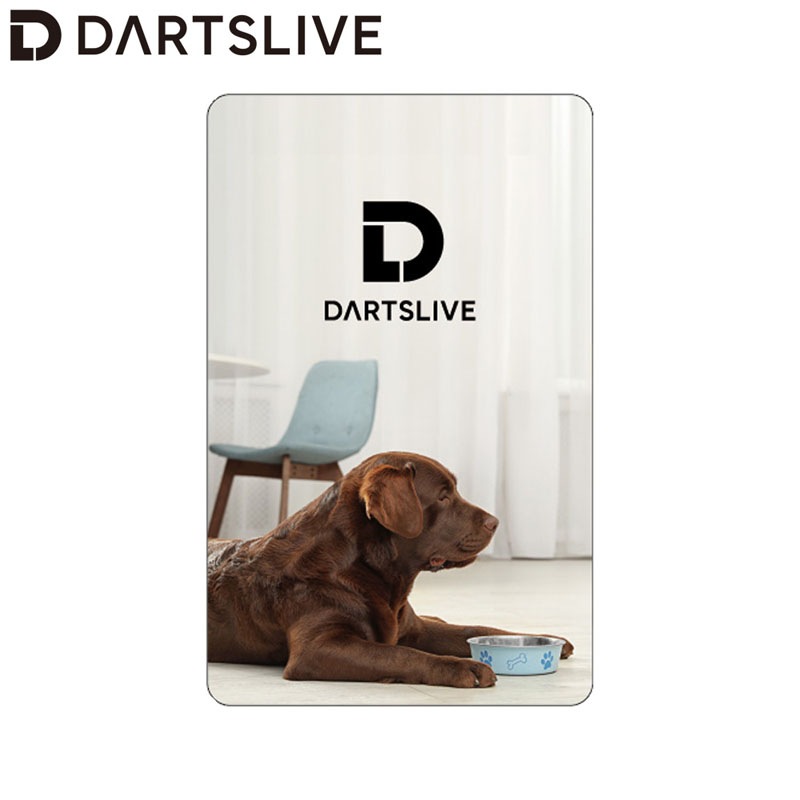 DARTSLIVE CARD #058 ��06�䡡(������ ������)