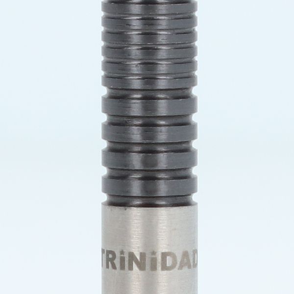 ����� Used �����ġ� TRiNiDAD(�ȥ�˥�����) LAZY(�쥤����) 2BA ���ȵ��������ǥ� ��RANK 3��