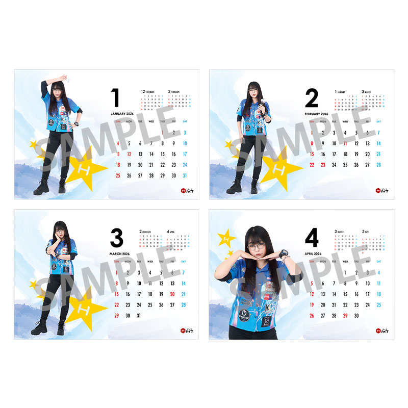 ��ͽ����ս�λ�ۡڲ������оݳ��ۥ����ĥϥ��֥ץ쥤�䡼���å�2025 ��奫��������B6�� ������������