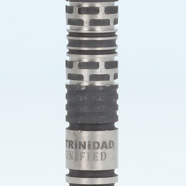 ダーツ TRiNiDAD LAZY ダーツ > ソフトダーツ > ブランド【タ行】 > トリニダード > PRO