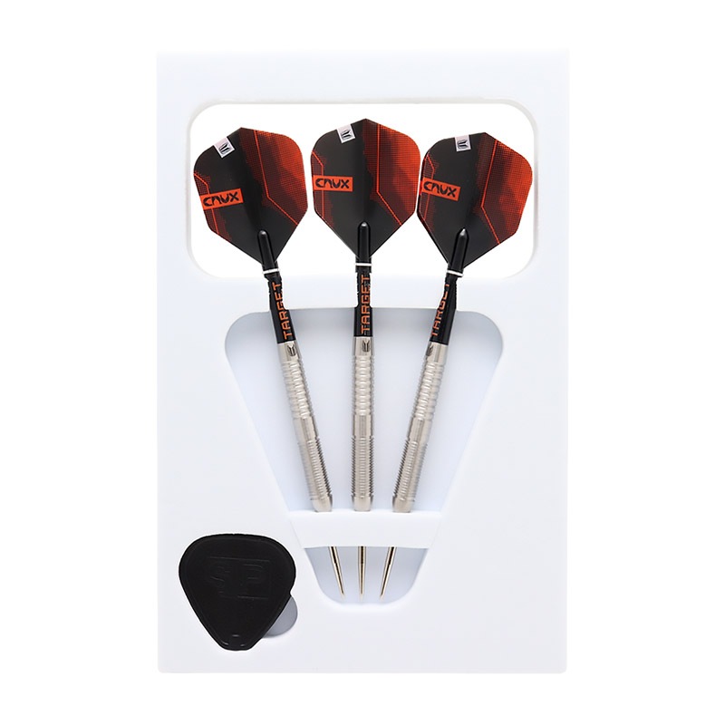 TARGET(�������å�) CRUX 01(����å���01) SWISS POINT STEEL 24g ��190235�䡡(������ �Х��)