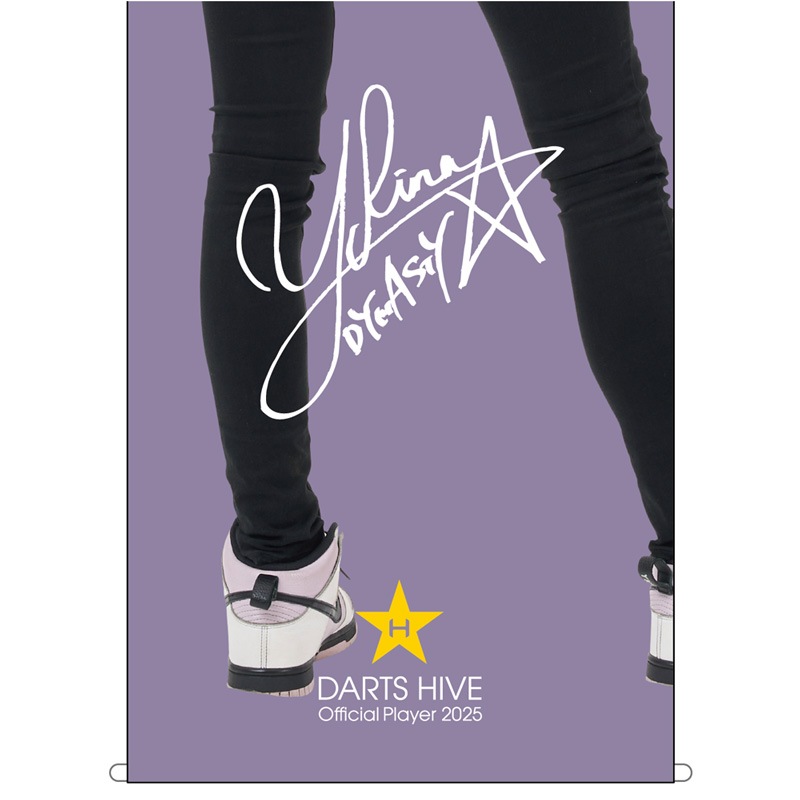 アクセサリ > 雑貨 > 【予約受付終了】【卸販売対象外】ダーツハイブ