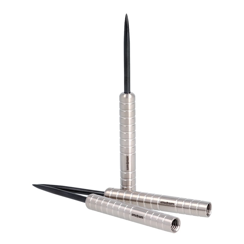 ASTRA DARTS Rakkaus ラッカウス　ダイナスティー ダーツ > ソフトダーツ > ブランド【タ行】 > ダイナスティー