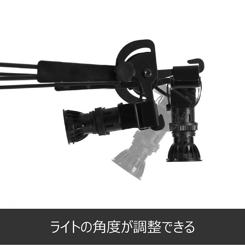 BLITZER(�֥�åĥ���) �饤�ƥ��󥰥����ƥ�����ĥ������ BSD39-BK��(������ �ܡ��� �������)