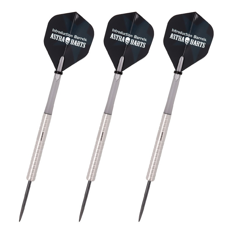Astra Darts Rakkaus 粕谷晋モデル ダーツ > ソフトダーツ > ブランド【タ行】 > ダイナスティー