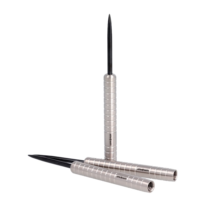 Astra Darts Rakkaus 粕谷晋モデル ダーツ > ソフトダーツ > ブランド【タ行】 > ダイナスティー