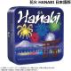 ֲ HANABI ܸǡ(ܡɥ ɥ ۥӡ)