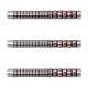 DYNASTY(�����ʥ��ƥ���) ASTRA DARTS REDSTAR(��åɥ�����) THERMAL(�����ޥ�) 2BA��(������ �Х��)