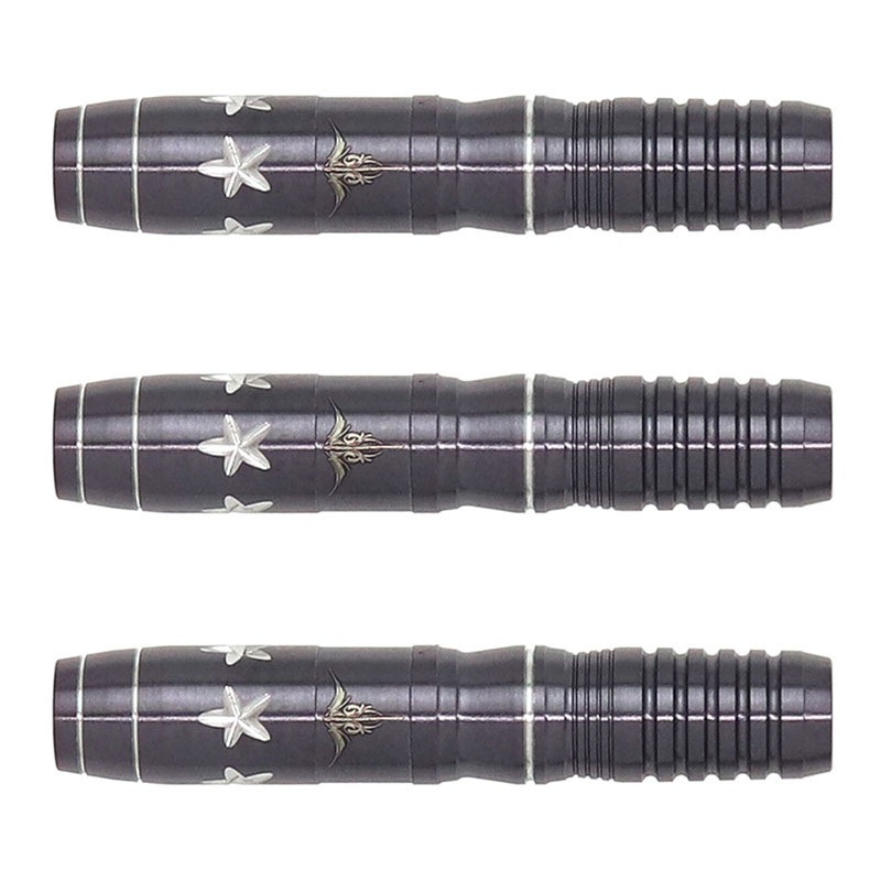 (未使用･未開封品)　ターゲット レベル リボーン レイダー 2.0 藍園英樹モデル バレル bt0tq1u ダーツ > ソフトダーツ > ブランド【タ行】 > ターゲット