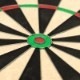 TARGET(�������å�) ASPAR(�����ѡ�) PROFESSIONAL DARTBOARD ��440015�䡡(������ �ܡ���)