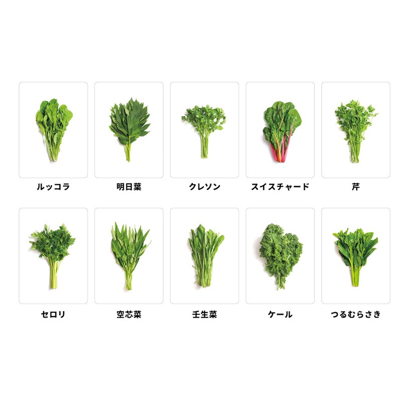 �������𡣡�(�ܡ��ɥ����� �����ɥ����� �ۥӡ�)