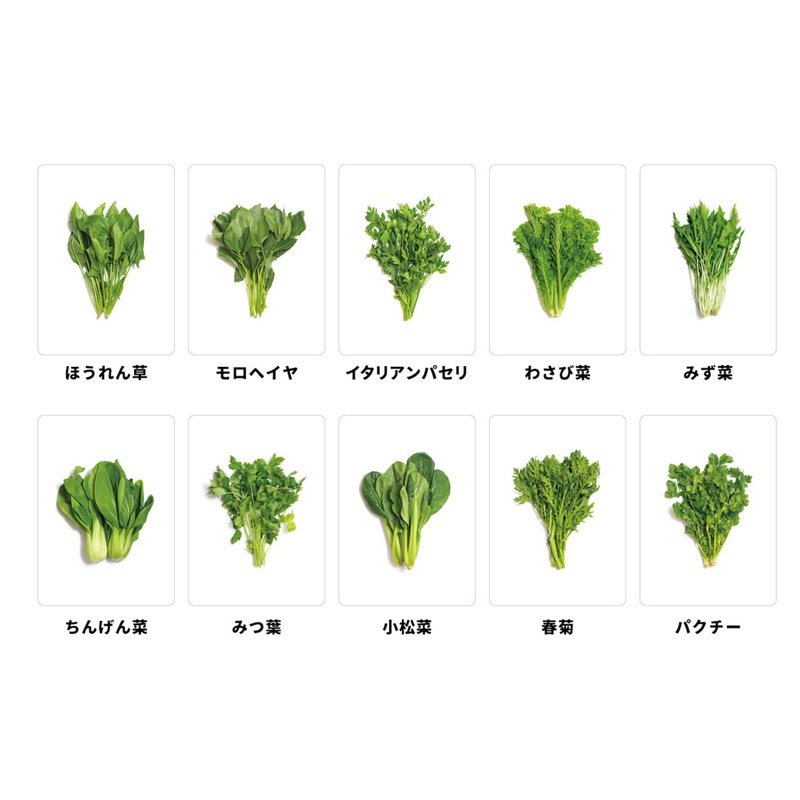 �ޥ����𡣡�(�ܡ��ɥ����� �����ɥ����� �ۥӡ�)