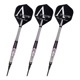 DYNASTY(�����ʥ��ƥ���) A-FLOW BLACK LINE �����ƥ��󥰥����� ILL4+(������4�ץ饹) DARTS HIVE Limited 2BA 20g ���չ��������ǥ�