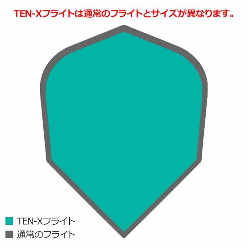 TARGET(�������å�) CHICANE PRO ULTRA �ե饤�� TEN-X �֥�å� 3set ��337221�䡡(������ �ե饤��)