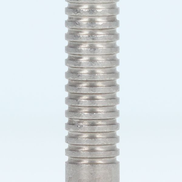 ����� Used �����ġ� TRiNiDAD(�ȥ�˥�����) K���꡼�� JAMES(�������ॹ) STEEL �������ॹ���٥��꡼�����ǥ� ��RANK 2��