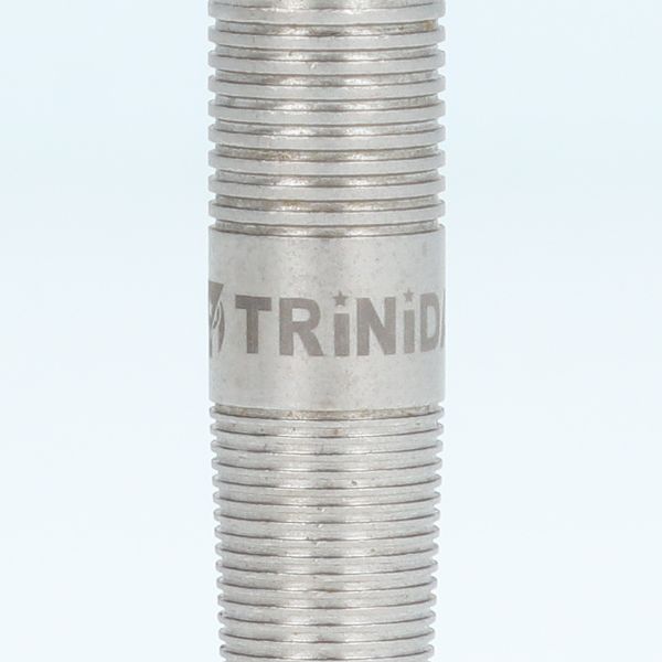 ����� Used �����ġ� TRiNiDAD(�ȥ�˥�����) Gomez Type7(���᥹ �����ץ��֥�) 2BA ����ͦ�������ǥ� ��RANK 2��