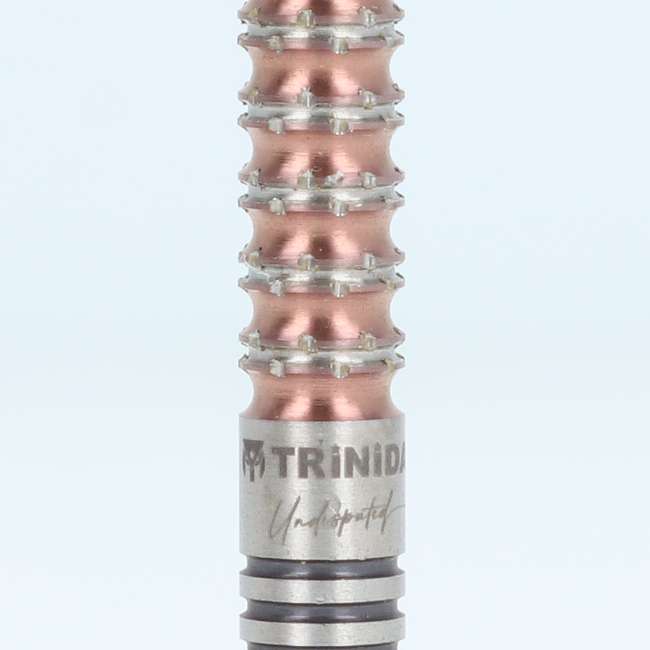 中古・USED商品 > ソフトダーツ > ブランド【タ行】 > トリニダード