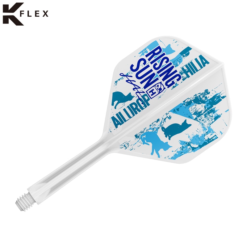 ダーツ 村松治樹モデルフライト setting2.jpg