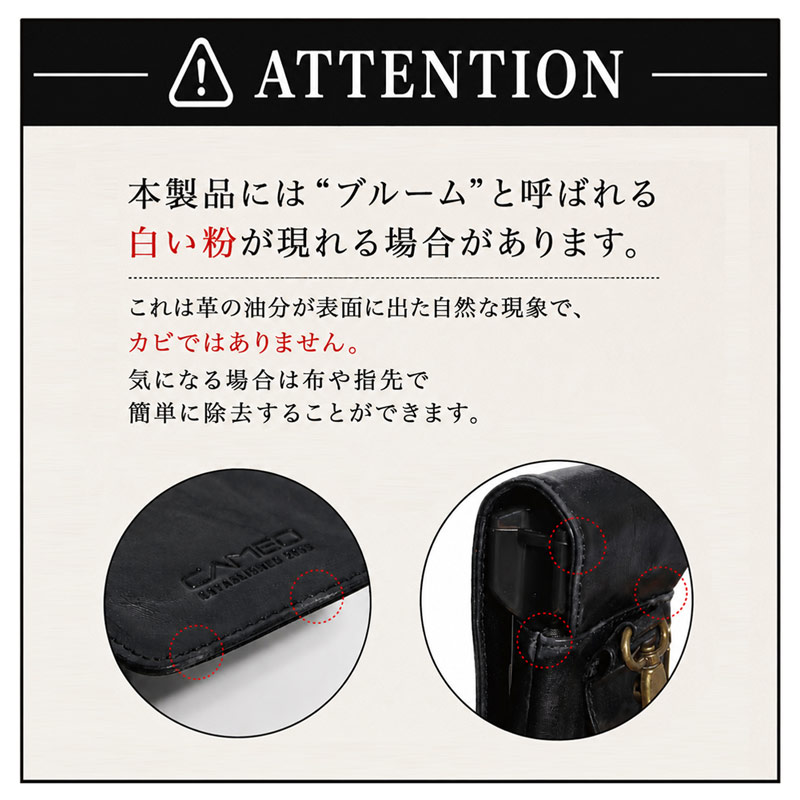 Rozen Kavalier / カメオブローチジャボ付きシャツ　　タグ付き Rozen Kavalier / カメオブローチジャボ付きシャツ タグ付き - メルカリ
