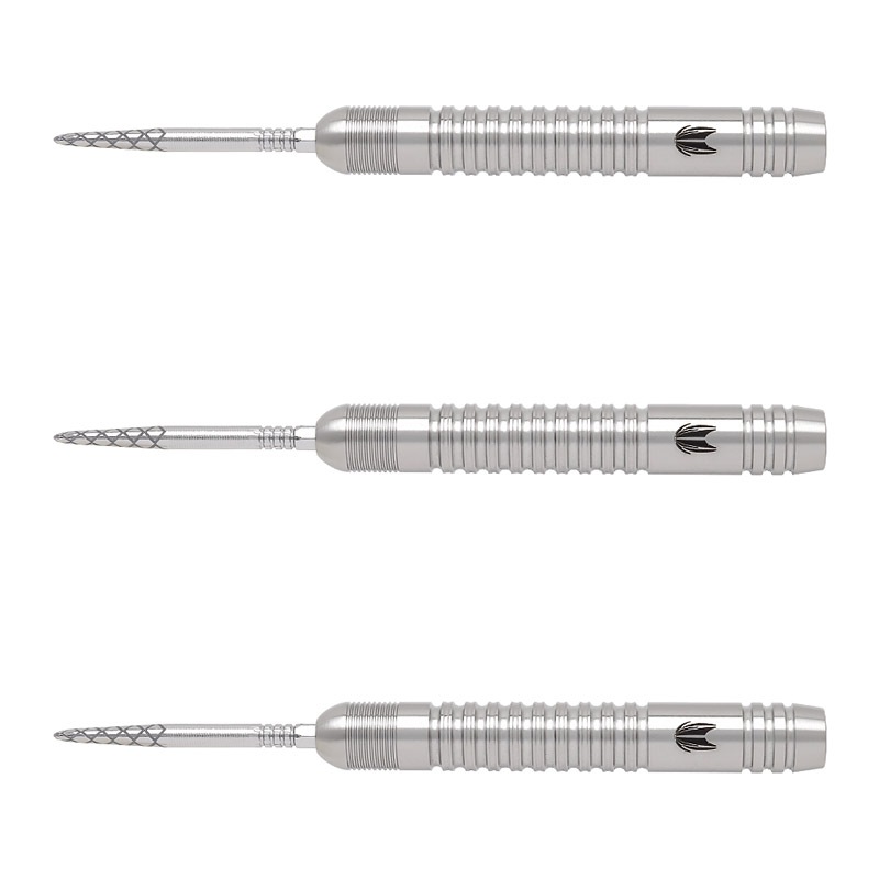 TARGET(å) DIMITRI VAN DEN BERGH G2 SWISS POINT STEEL 25g 190226 ǥߥȥꡦ󡦥ǥ󡦥Сǥ롡( Х)