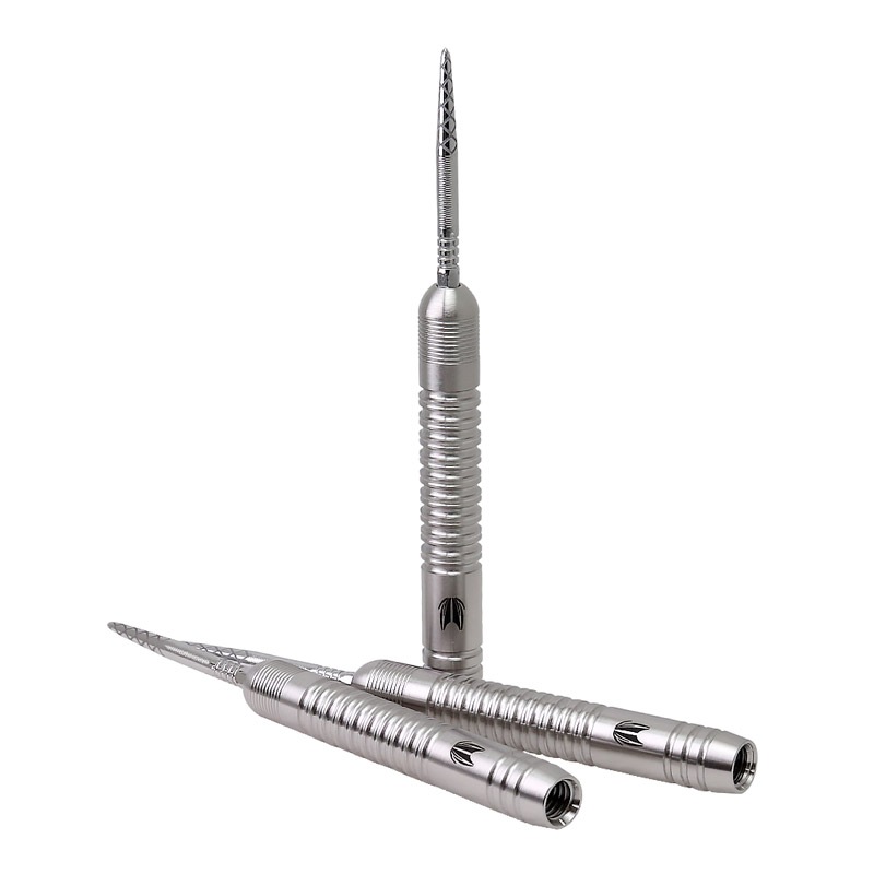 TARGET(å) DIMITRI VAN DEN BERGH G2 SWISS POINT STEEL 25g 190226 ǥߥȥꡦ󡦥ǥ󡦥Сǥ롡( Х)