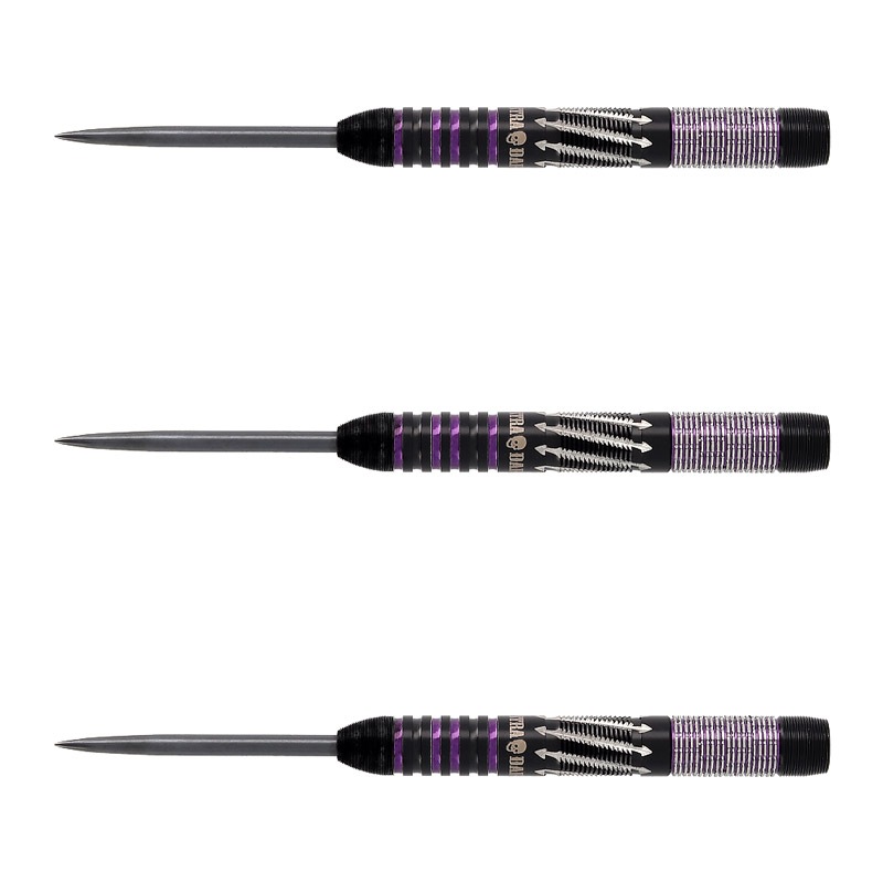 DYNASTY(�����ʥ��ƥ���) ASTRA DARTS DRAGOON4(�ɥ饰����4) STEEL ����ζ�������ǥ롡(������ �Х��)