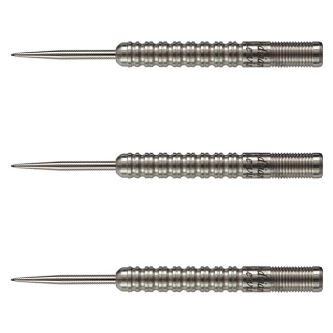 �ڼ���ʡ�TARGET(�������å�) ADRIAN LEWIS STEEL 21g ��122560�䡡(������ �Х��)