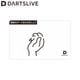 DARTSLIVE CARD #060 ��03�䡡(������ ������)